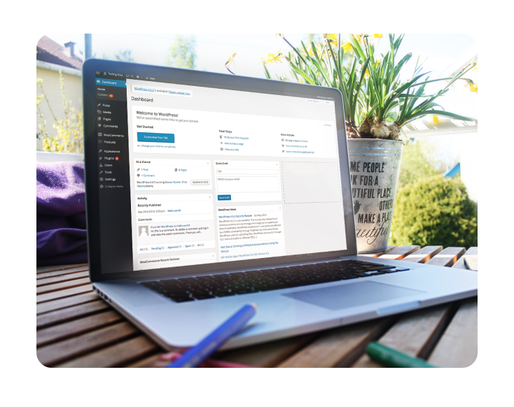 WordPress Development